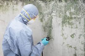 Best Airborne Mold Testing  in County Center, VA